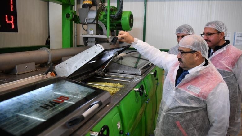 Havran'daki Zeytinler Lezzet Yolculuğundan Geçiyor