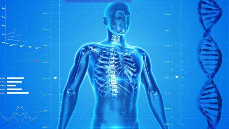 Osteoporoza Karşı Alınacak Önlemler