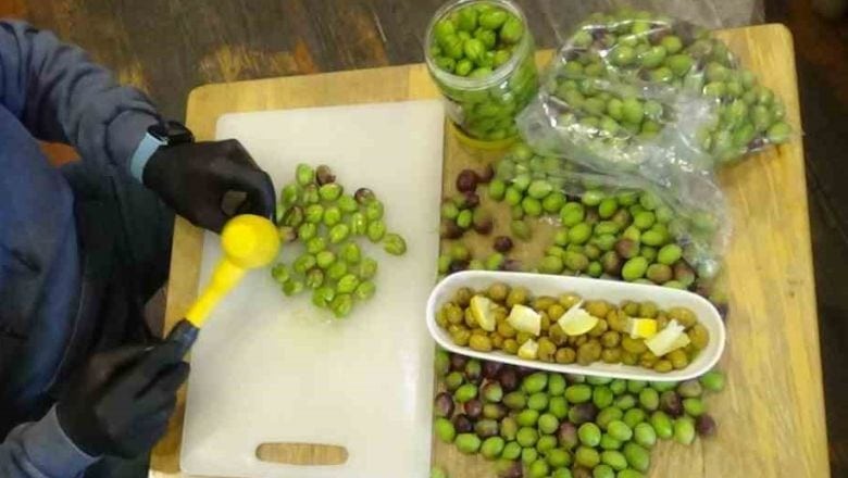 Balıkesirliler'den Kırma Zeytin İçin Altın Değerinde İpuçları!