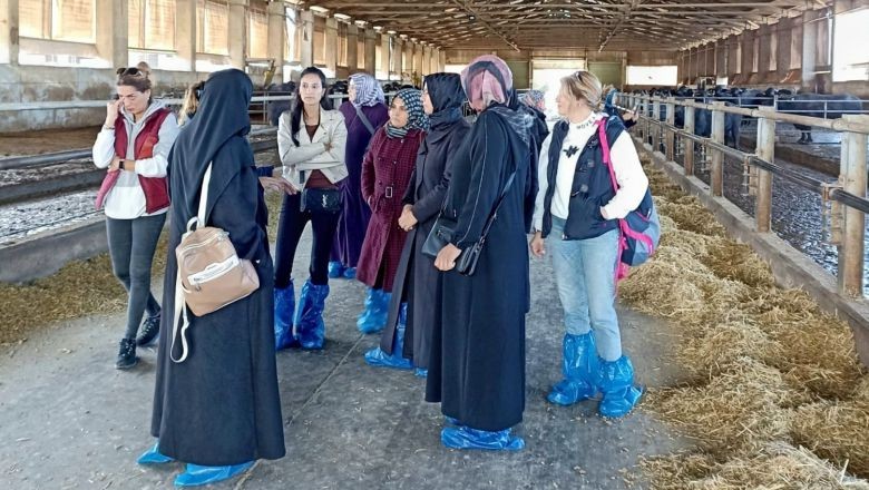 Kadın Üreticiler Manda Yetiştiriciliğinde Söz Sahibi