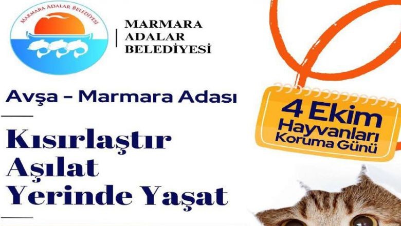 Marmara Adalar'da Hayvan Sağlığı Seferberliği