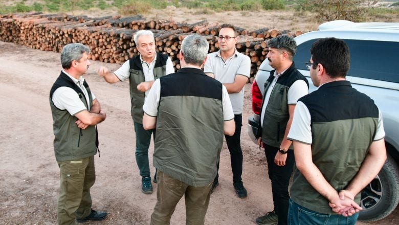 Balıkesir Ormanları Küllerinden Doğuyor