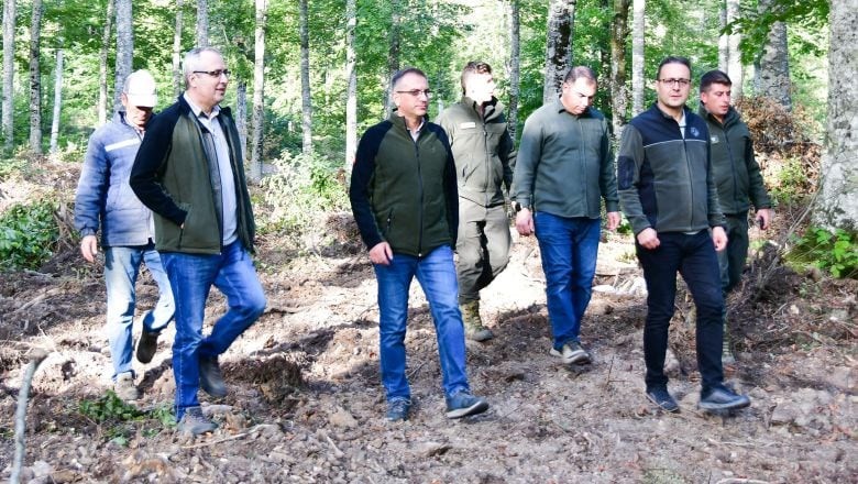 Balıkesir Kayın Ormanları Yeniden Canlanıyor