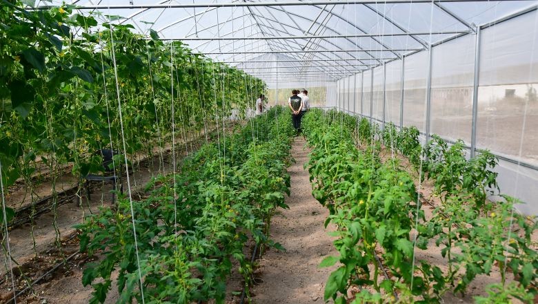 Sındırgı'nın Orman Köylülerine Yeni Umut