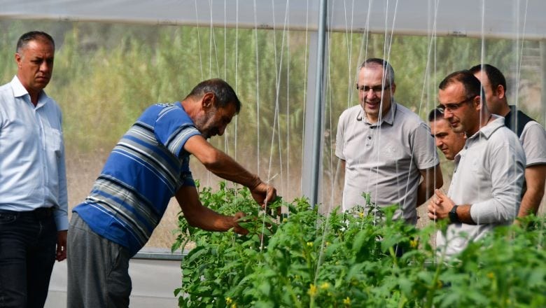 Sındırgı'nın Orman Köylülerine Yeni Umut