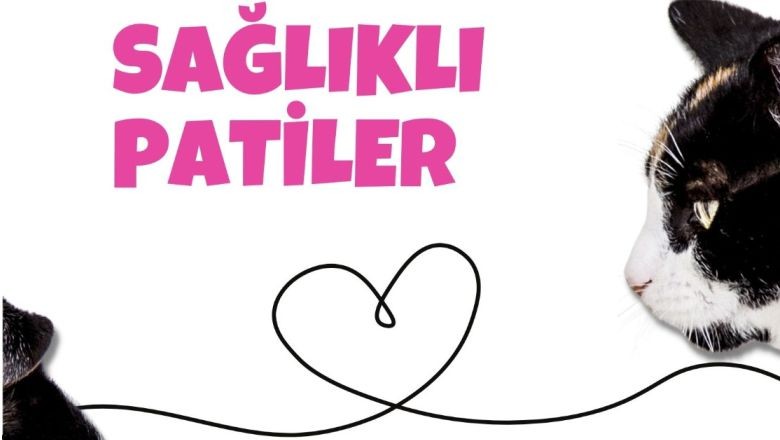 Balıkesir Üniversitesi’nden Patilere Özel Muayene