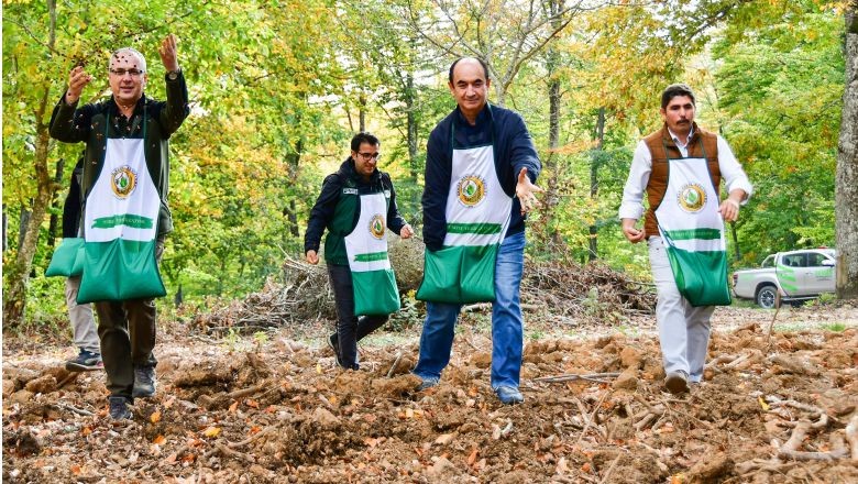 Balıkesir Kayın Ormanları'na Tohumlar Saçıldı