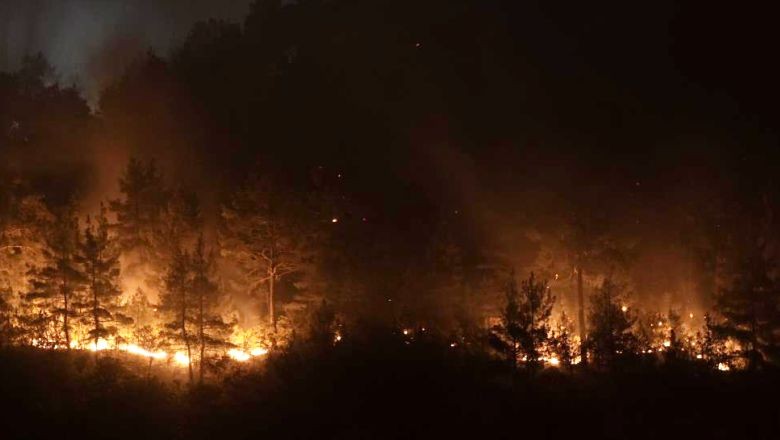 Bursa'dan Balıkesir'e Uzanan Yangında Son Durum