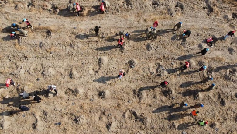 Kazdağları Artık Daha da Yeşil Olacak
