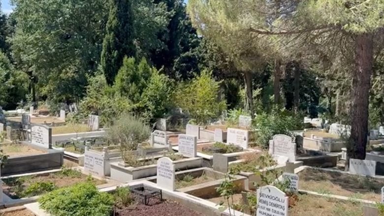 Bugün Balıkesir'de 2 Çınar Devrildi
