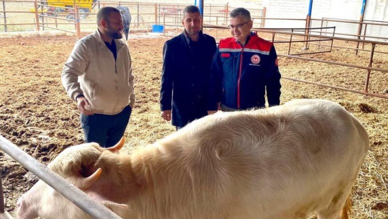 Balıkesir'in Manda Kaymağı Hikayesi Büyüyor!