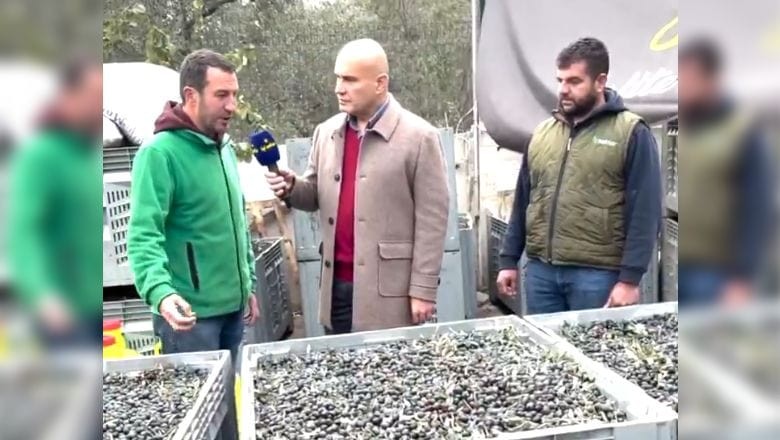 Çömez Zeytinyağı İçin Ankara'ya Seslendi