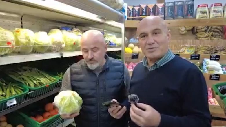 Çömez'den Hükümete Karnabahar Eleştirisi
