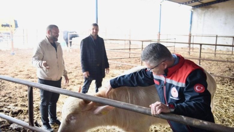 Balıkesir'in Manda Kaymağı Hikayesi Büyüyor!