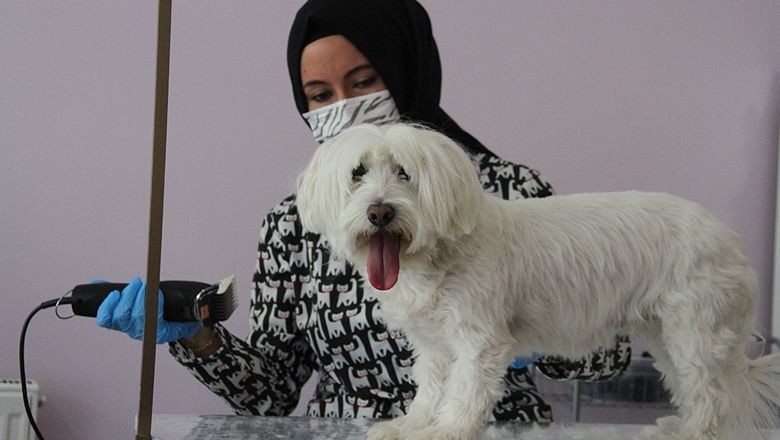 Evcil Hayvan Bakımı Nasıl Olmalı?