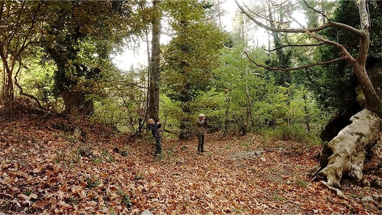 Kazdağları'nda Sonbaharın Renk Cümbüşü Büyülüyor Kazdağları'nda Sonbaharın Renk Cümbüşü Büyülüyor