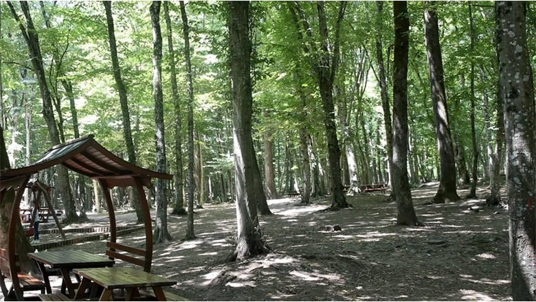 Balıkesir Ormanlarında Keşfe Çıkın