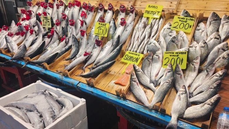 Bandırma'da Palamut Yerini Bakın Hangi Balıklara Bıraktı
