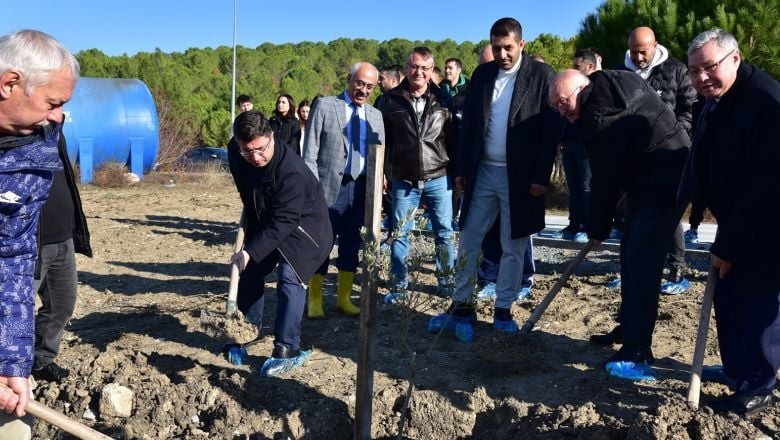 BAÜN'de Zeytin Fidanları Toprakla Buluştu
