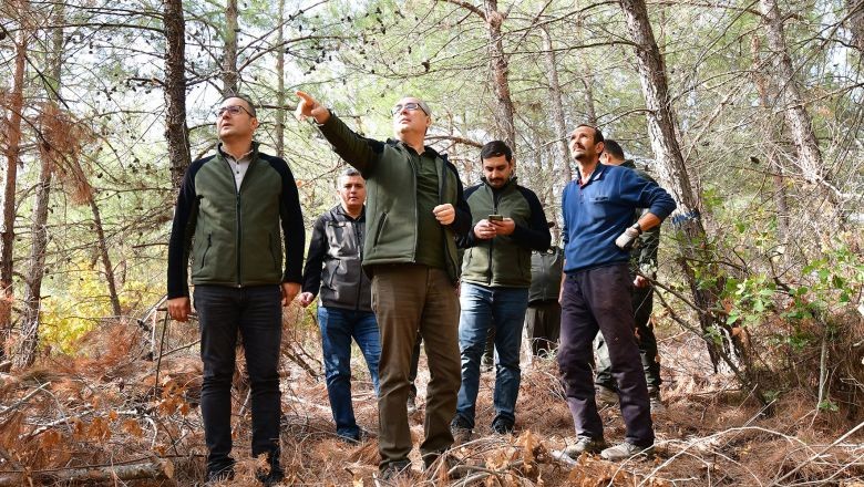 Balıkesir Ormanları Geleceğe Yürüyor