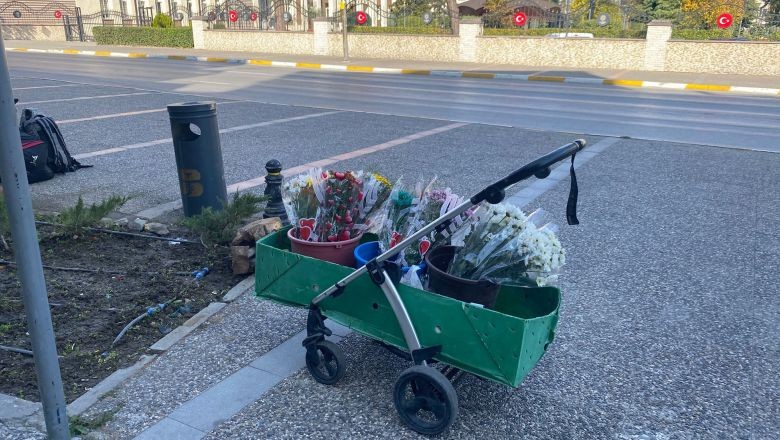 Bebek Arabasında Çiçek Açan Kazanç