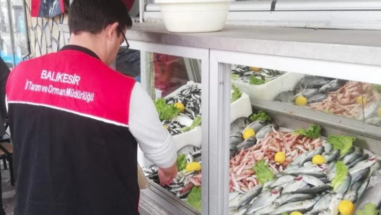 Edremit’te Balık Tüketicilerine Sağlık Uyarısı