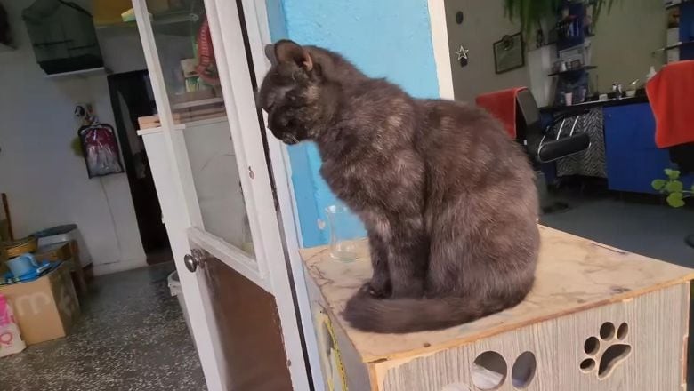 Sokakta Başlayan Hikaye Dükkanı Canlandırdı