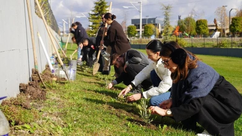 Balıkesir’de Öğretmenlerin Hatırası Zeytin Fidanlarıyla Yaşatılıyor