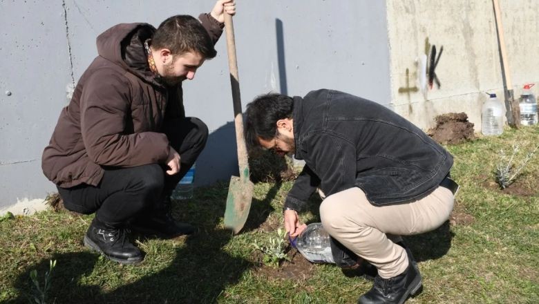 Balıkesir’de Öğretmenlerin Hatırası Zeytin Fidanlarıyla Yaşatılıyor
