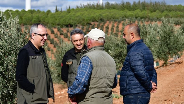 Balıkesir'de Zeytin Hasadı 3 Milyon TL Kazandırdı