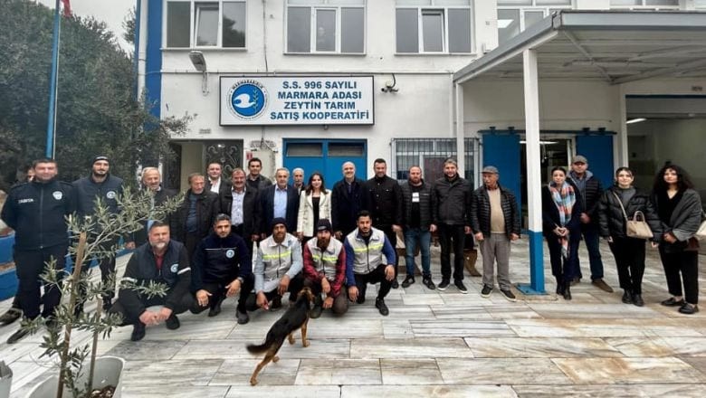 Marmara Adalar'da Zeytin Hasat Şenlikleri Başladı