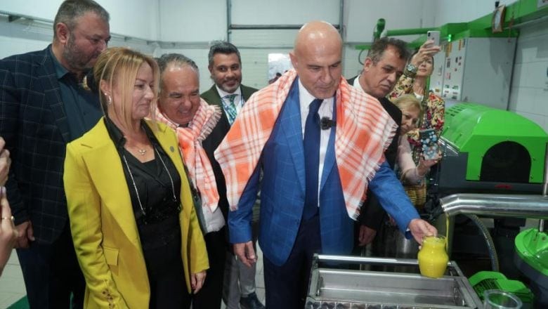 Bin Yıllık Ağaç Zeytin Verdi!