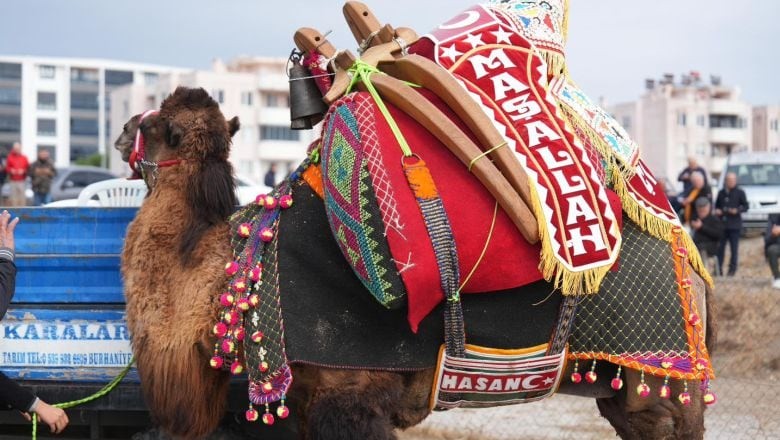 Burhaniye'de Havut Giydirme Töreni Gerçekleşti