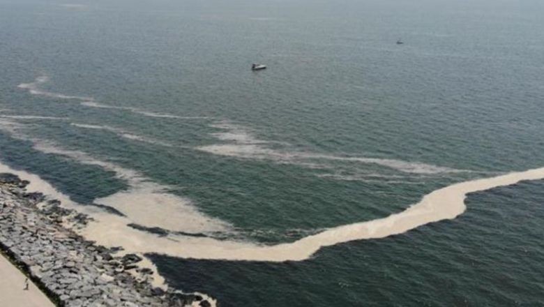 Marmara Tehdit Altında! Kabus Geri Döndü