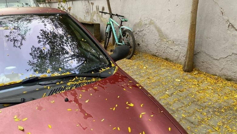 Balıkesir Kasım’da Sarıya Büründü