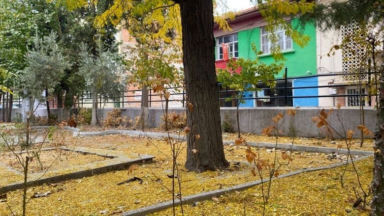 Balıkesir Kasım’da Sarıya Büründü