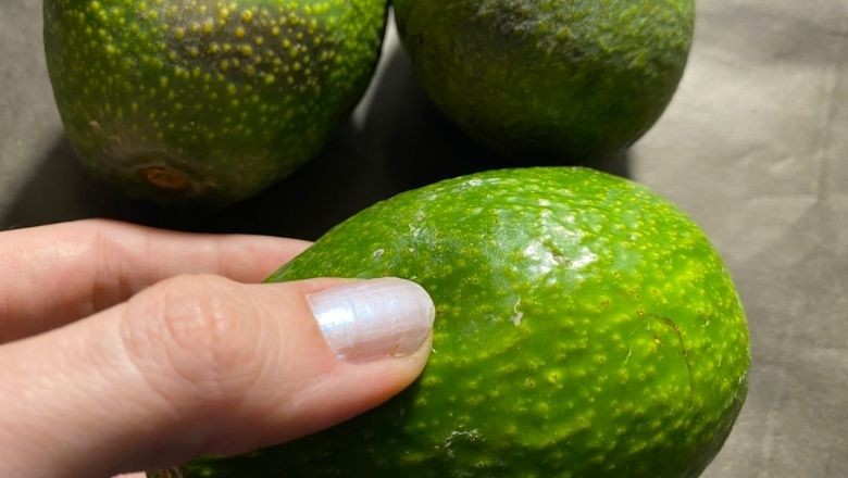 Balıkesir'de Olgunlaşmış Avokado Böyle Anlaşılıyor