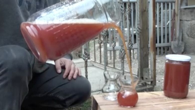 Çam Kozalağından Şurup Yapımını Duydunuz Mu?