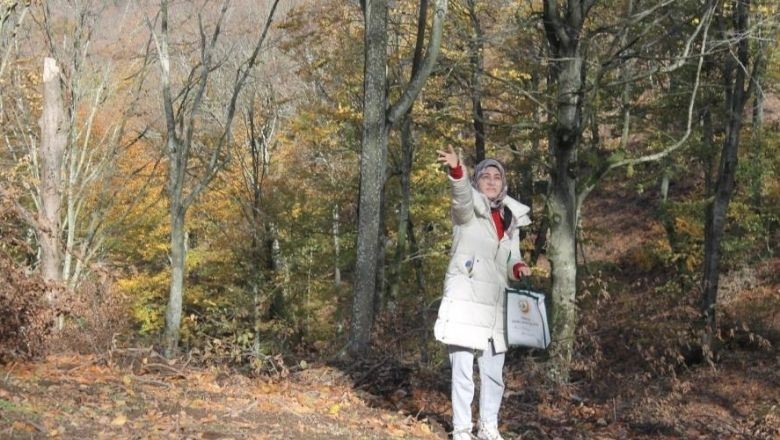 Orman Gençleştirme Çalışmalarına 200 Kiloluk Katkı