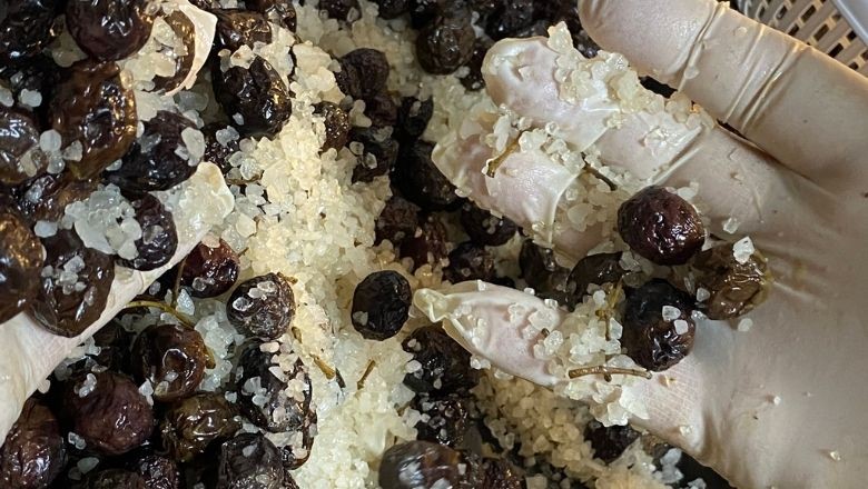Balıkesir'de Zeytin Tuzlama Nasıl Yapılır?