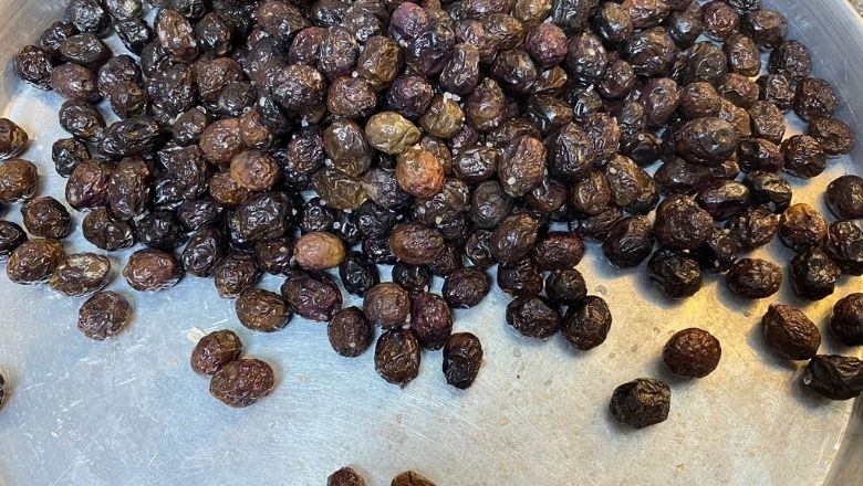 Balıkesir'de Zeytin Tuzlama Nasıl Yapılır?