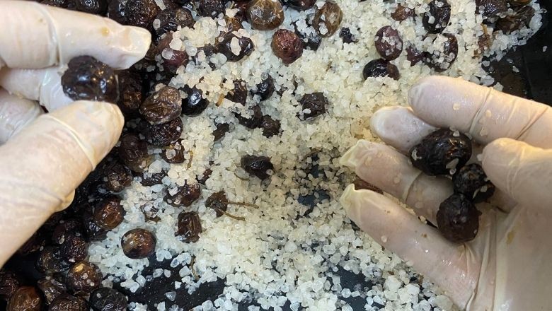 Balıkesir'de Zeytin Tuzlama Nasıl Yapılır?