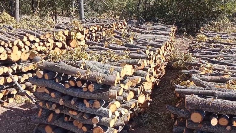 Köylerde Kış Mesaisi Başladı