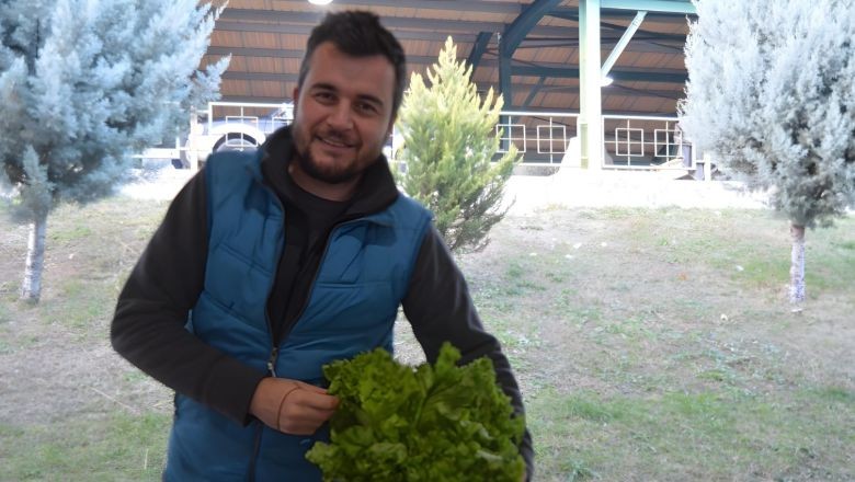 Perşembe Pazarı'nda Neler Var? Fiyatlar Cep Yakıyor mu?