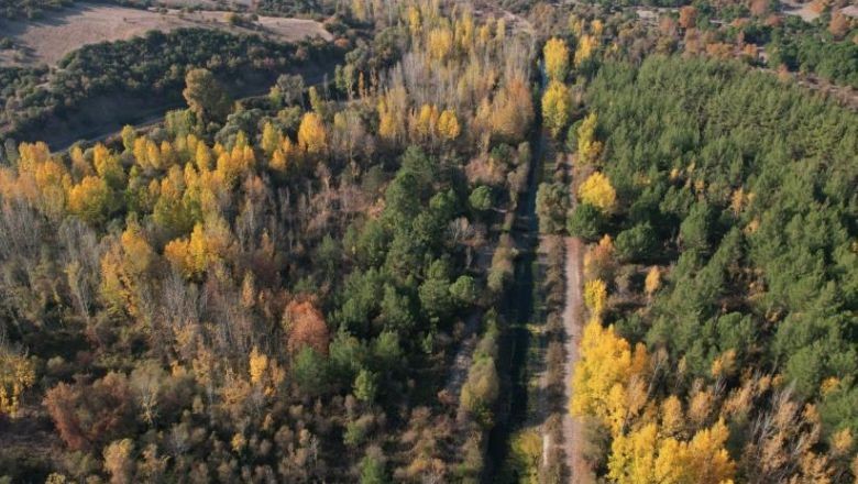Sonbahar Renkleri ve Kar Sındırgı’da Bir Arada