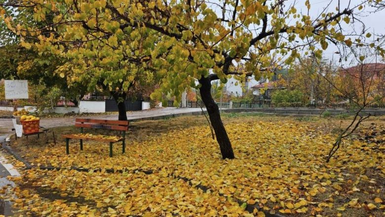 Sonbahar Renkleri ve Kar Sındırgı’da Bir Arada