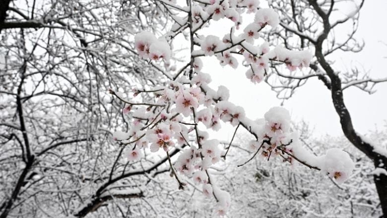 El Nino Gitti La Nina Geldi! Hava Titretecek