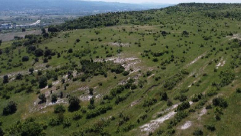 Balıkesir'de Küçükbaş Hayvancılık İçin Fırsat Kapısı