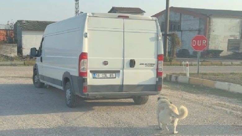 Gönen’de Dehşet! Köpeği Kamyonetin Arkasında Sürüklediler