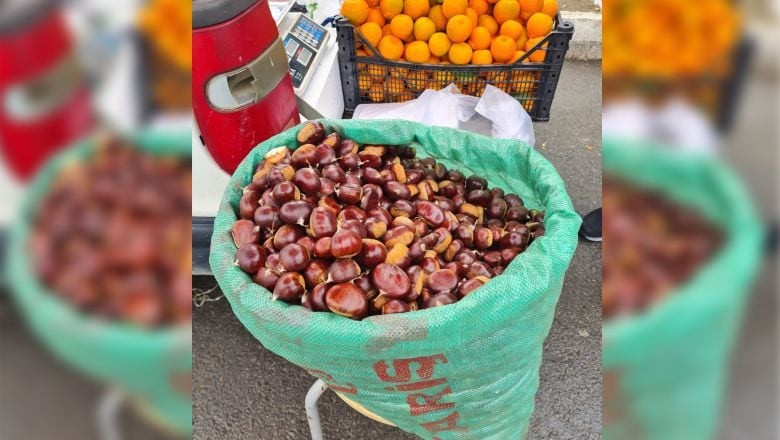 İvrindi’de Yetişti Akçay’da Satıldı